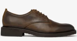 Elvas Brown