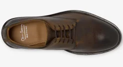 Elvas Brown